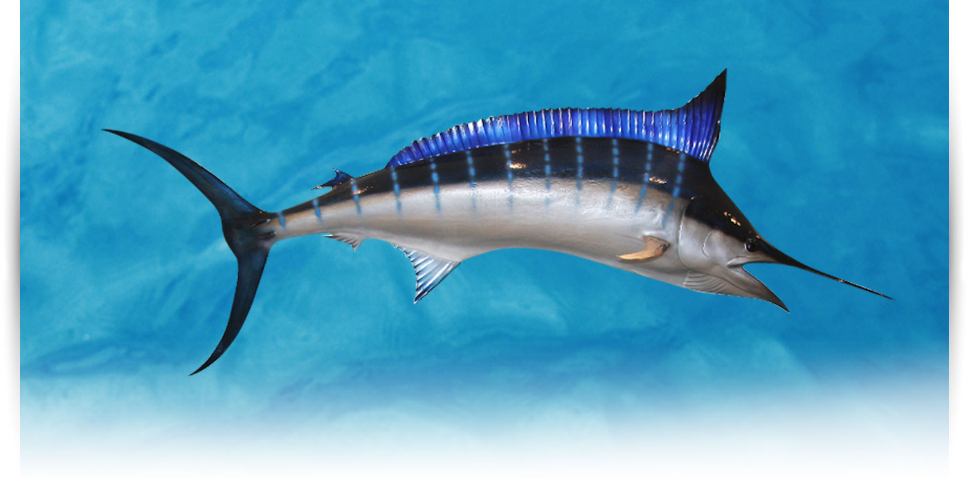 Pescado